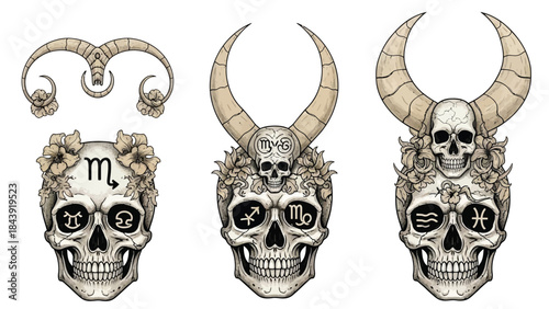 Illustration of three skulls with zodiac symbols and horns on a white background in a graphic style.