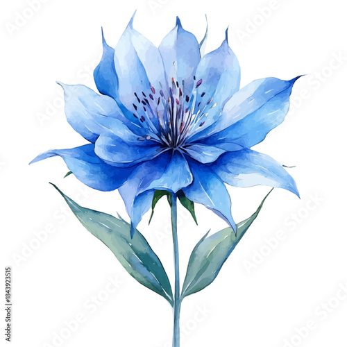 Love-in-a-Mist Flower, watercolor illustration featuring soft shadows and luminous, isolated on a white background.