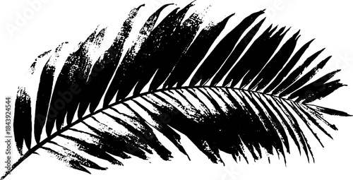 Black and white palm leaf stencil illustration with rough edges