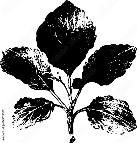 Black and white stencil illustration of rough edged sprout for urban art design