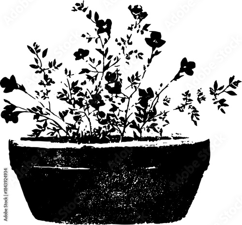Black and white floral basket silhouette for creative design