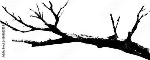 Black and white silhouette of thin tree branch for nature design and print