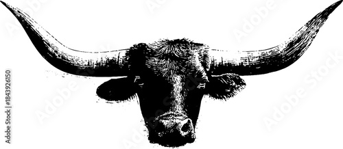 Abstract horned animal silhouette in black and white stencil art for creative design