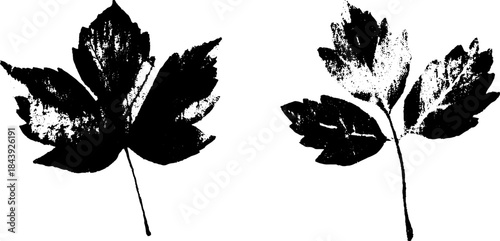 Abstract black and white leaf pair stencil art for urban design