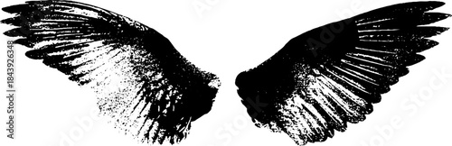Abstract wing pair stencil art in black and white for design and decor
