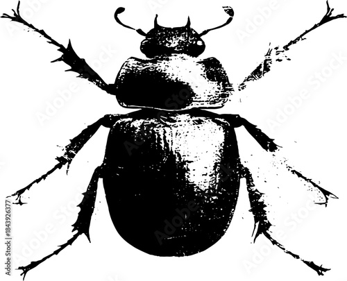 Black and white stencil illustration of an ambiguous insect design for urban art