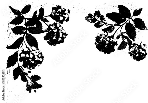 Black and white stencil illustration of decorative floral corner design