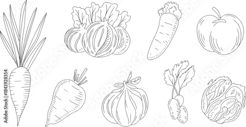 "Hand-Drawn Vegetables Vector Icons Set - Carrots, Tomatoes, Corn, Bell Peppers, and More"