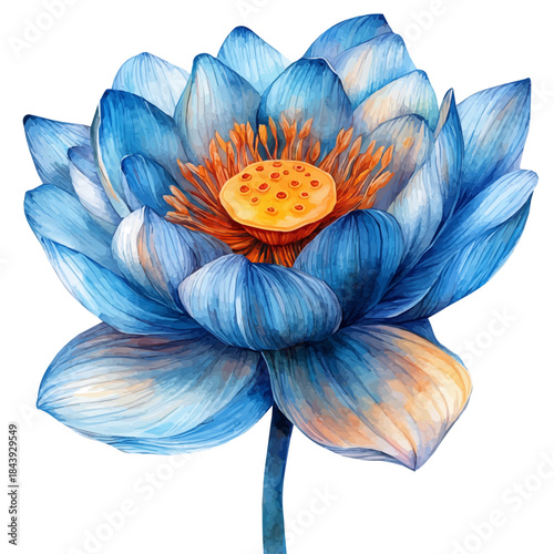 watercolor of Lotus Flower graphic, isolated on a white background.