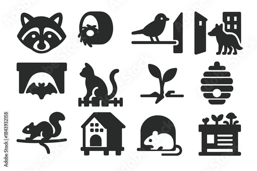 Urban Wildlife Icons. Solid style icons of Urban Adaptations: Raccoon, Nest in Pipe, Bird on Wire, Fox in Alley, Bat in Bridge,