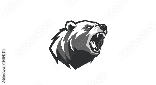 Head of a grizzly bear aggressive expression against white background