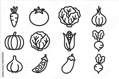 Vegetable Line Icons. Line style icons of Vegetable Farming: Carrot, Tomato, Lettuce, Onion; Pumpkin, Cabbage, Corn, Radish;