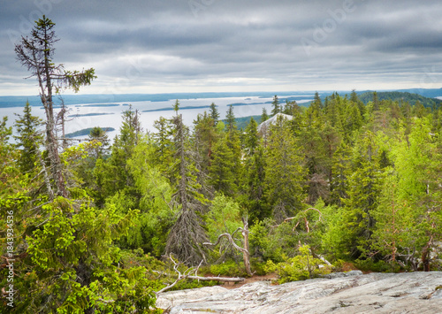 Koli National Park in the m...