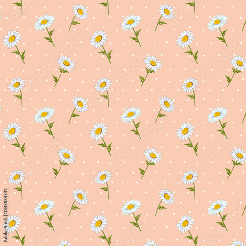 A field of white daisies creates a beautiful, delicate pattern.Vector seamless pattern with white daisies on a colored polka dot background.