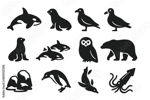Arctic Predators Icons. Solid style icons of Arctic predators: killer whale, leopard seal, skua, giant petrel, fur seal, orca pod,
