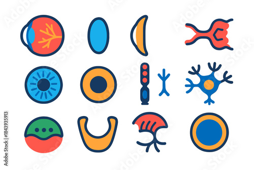 Animal Eye Anatomy Icons. Flat vector icons of visual system anatomy in animals: retina, lens, cornea, optic nerve, iris, pupil,