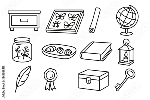 Naturalist Cabinet Icons. Line style icons of naturalist cabinet: wooden drawer, specimen case, rolled map, globe; glass jar,