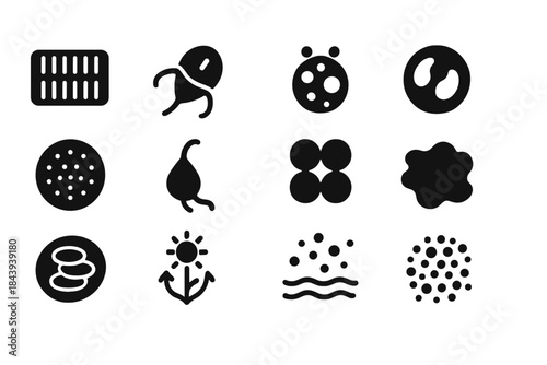 Phytoplankton Icon Diversity. Solid style icons of Phytoplankton diversity: diatom, dinoflagellate, coccolithophore, chlorophyte,