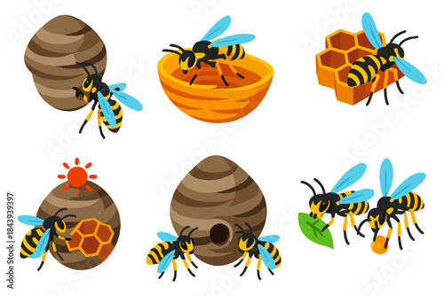 Wasp Nest Construction. Isometric vector illustration set Social wasp nest construction: nest formation, chewed fiber layers,