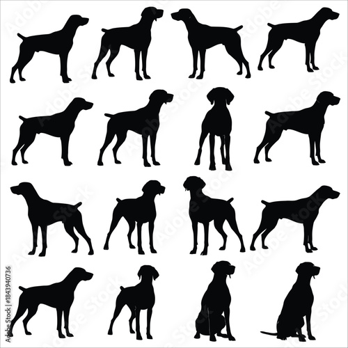 Dog silhouettes in various poses, including standing, walking, and sitting positions