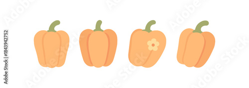 Minimalist flat orange bell pepper icons collection