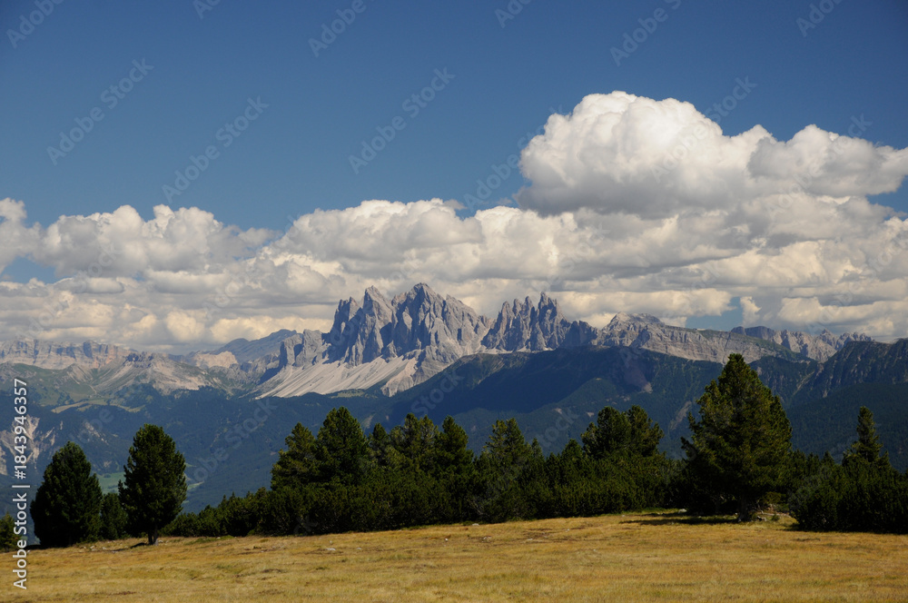 Fototapeta premium Blick vom Villanderer Berg zu den Dolomiten