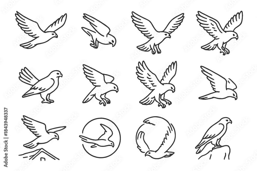 Fototapeta premium Falcon Flight Icons. Line style icons of falcon flight: soaring bird, stoop dive, wings spread, hovering pose; tail spread, folded