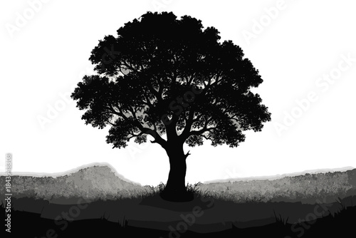 Mystical Tree Silhouette. Artistic black-and-white silhouette of a tree standing in a foggy meadow, moody and mysterious vector