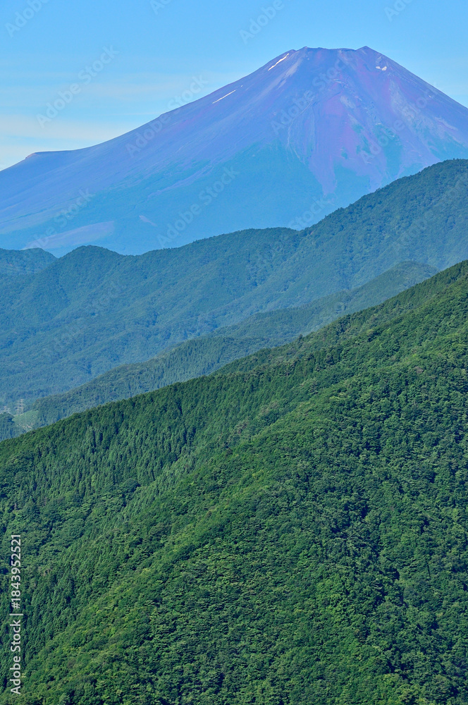 Fototapeta premium 道志山塊の道志山稜縦走コース 赤鞍ヶ岳のウバガ岩より富士山を望む