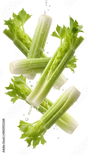 Washed fresh green celery stalks with water drops