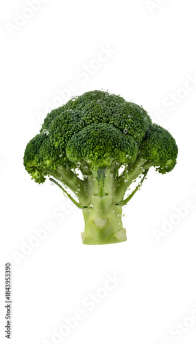 Fresh green broccoli with water drops concept