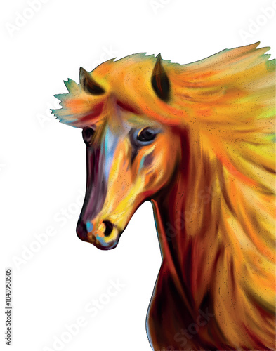 Colorful artistic horse portrait with expressive brush strokes, abstract digital painting style, warm orange and yellow tones, isolated on isoleted background