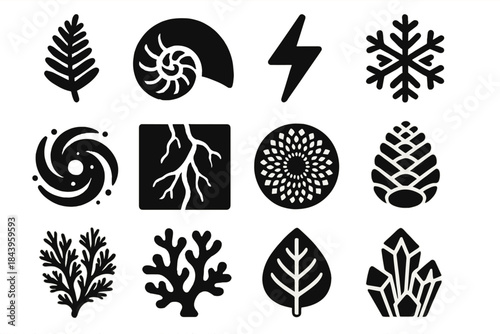 Nature's Iconic Patterns. Solid style icons of patterns in nature: fern leaf, nautilus shell, lightning bolt, snowflake crystal,