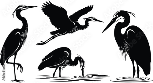 Silhouette vector group of herons in various poses standing wading flying and feeding near pond shallow water high contrast black silhouettes side view minimalist ink style