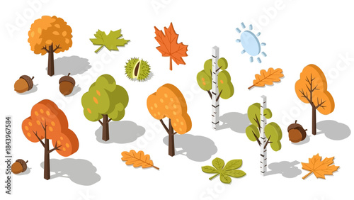 Isometric autumn trees and leaves with shadows for seasonal design