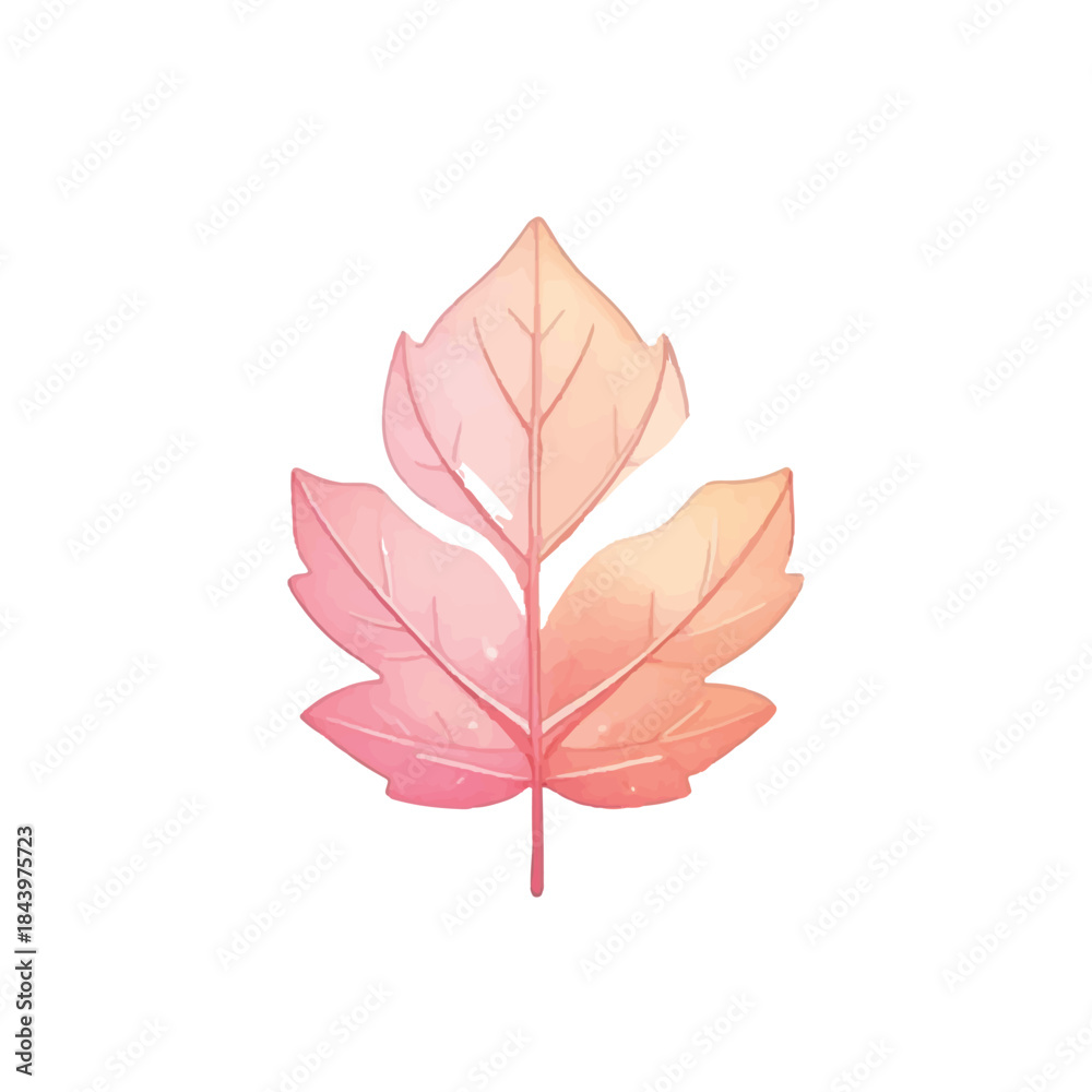 Fototapeta premium Autumn leaves vector illustration with colorful foliage isolated on white background