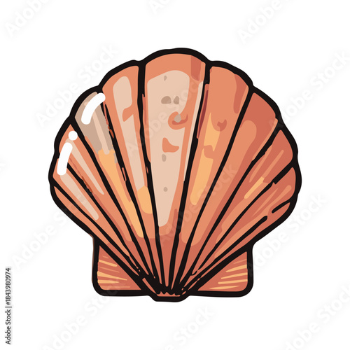 An isolated seashell on a white background symbolizing art, culture, and learning