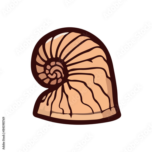Stylized illustration of a nautilus shell, showcasing its intricate logarithmic spiral pattern and natural beauty, an emblem of marine life and oceanic wonder