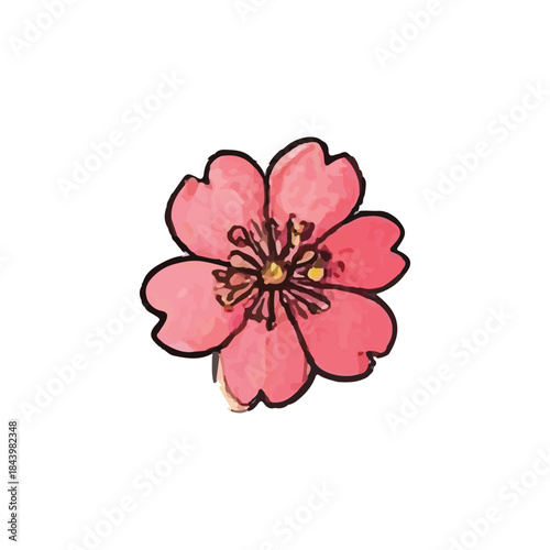 Exquisite hand-painted pink flower illustration, a charming watercolor blossom for spring themes