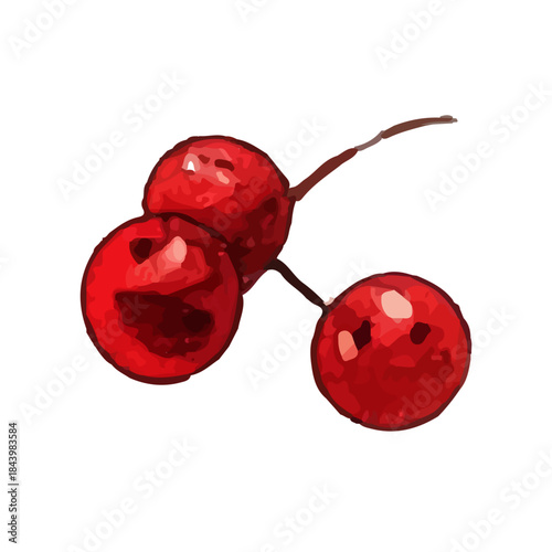 Vibrant Red Berries Illustration - A Close-Up Watercolor Depiction