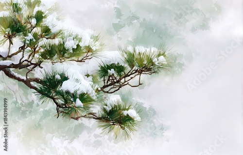 Pine tree branch covered in snow against a light background  