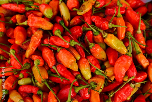 Close-up Fresh Organic Red Chili Pepper Pile Displayed in Market