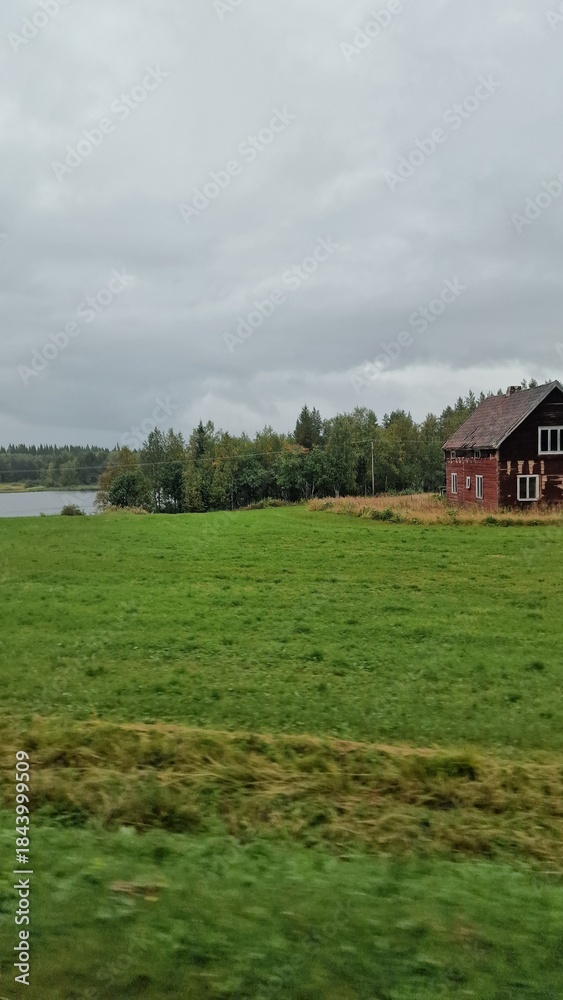 Fototapeta premium roadtrip through sweden rainy day