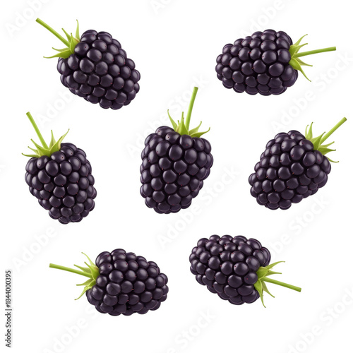 Seven blackberries isolated on transparent background
