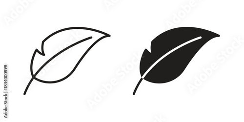 Feather icon design element, vector illustration. Editable vector collections.