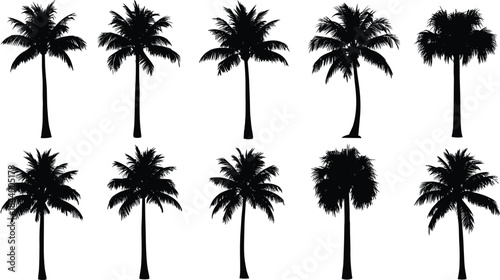 Tropical Palm Tree Silhouettes Vector Set, Diverse Caribbean Island Black Icons, Exotic Vacation Summer Beach Graphics, Realistic Detailed Nature Elements for Design.