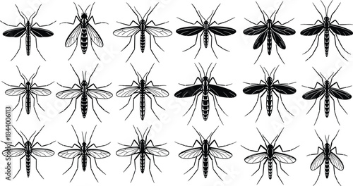 Collection of detailed mosquito insect illustrations showing various wing styles, body patterns, and vector designs for scientific, educational, and pest control graphics