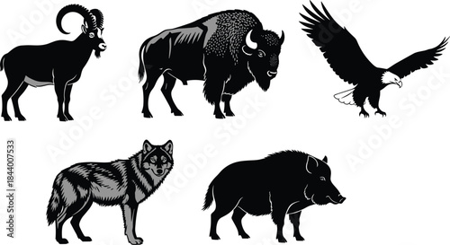 Wild animal illustration set featuring wolf, bison, eagle, boar and mountain goat in detailed black graphic style for nature and wildlife projects