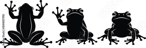 Frog silhouette vector set, amphibian wildlife illustration, cute frog sitting poses for nature, rainforest biology, animal education and kids design