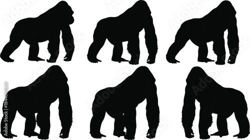 Gorilla silhouette vector set, wild animal illustration, strong primate graphics for jungle wildlife design, nature conservation and zoo theme